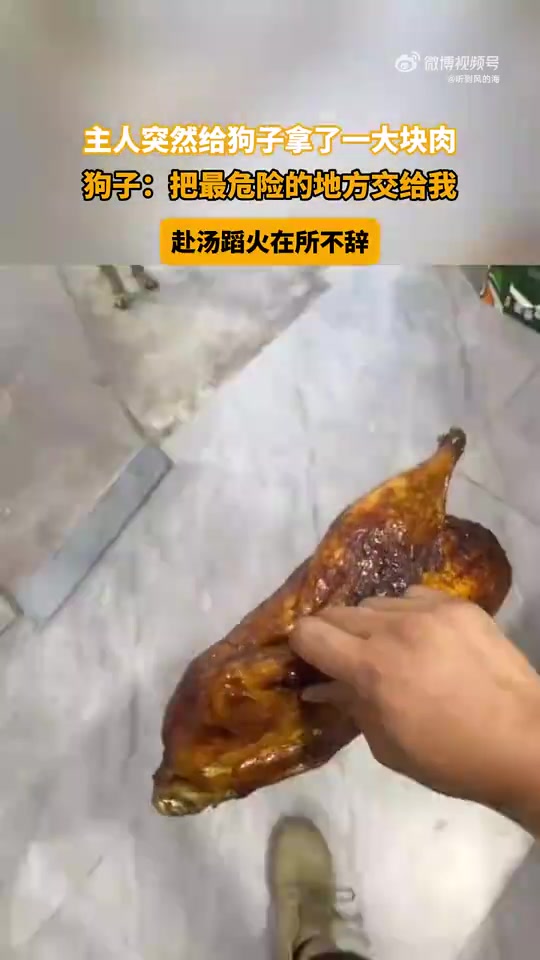 主人突然给狗子拿了一大块肉！狗子：把最危险的地方交给我！