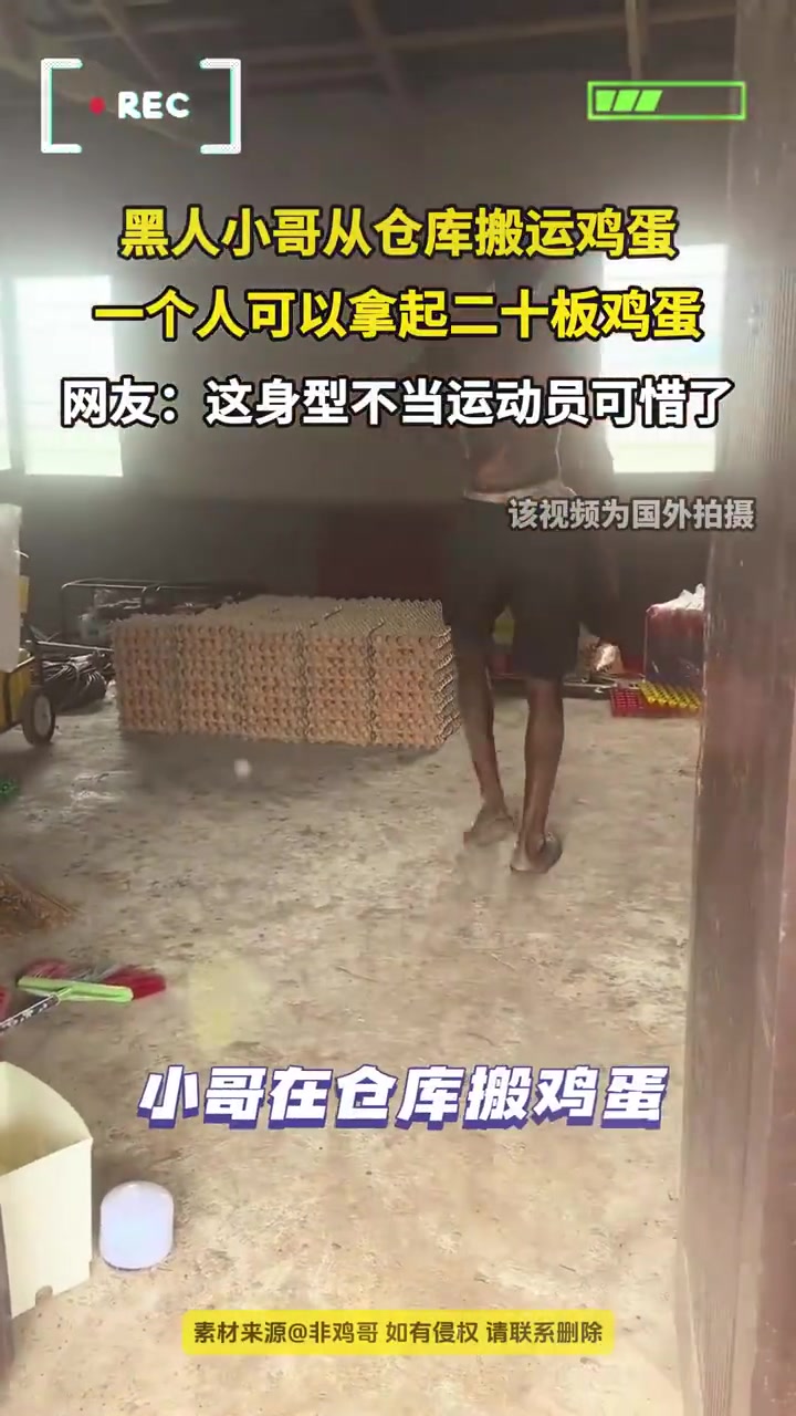 黑人小哥从仓库搬运鸡蛋一个人可以拿起二十板鸡蛋