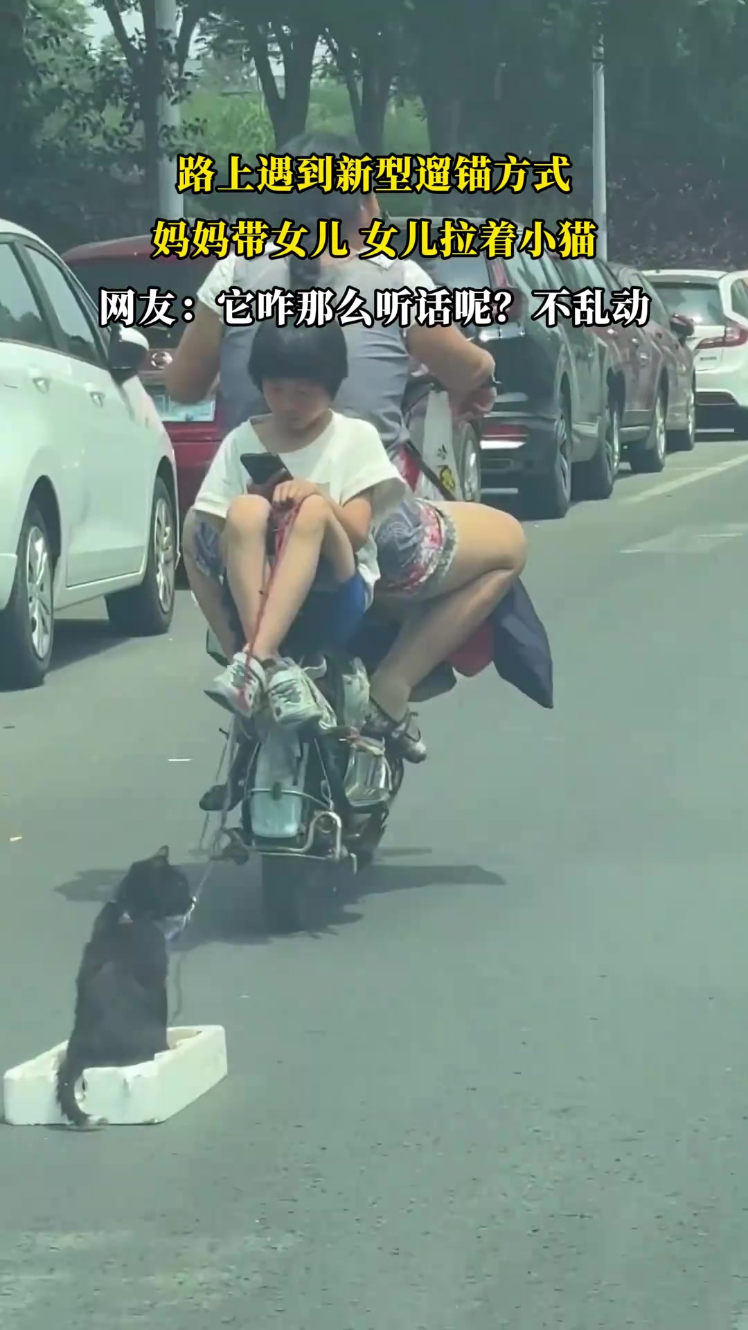 路上遇到新型遛锚方式：妈妈带女儿，女儿拉着小猫