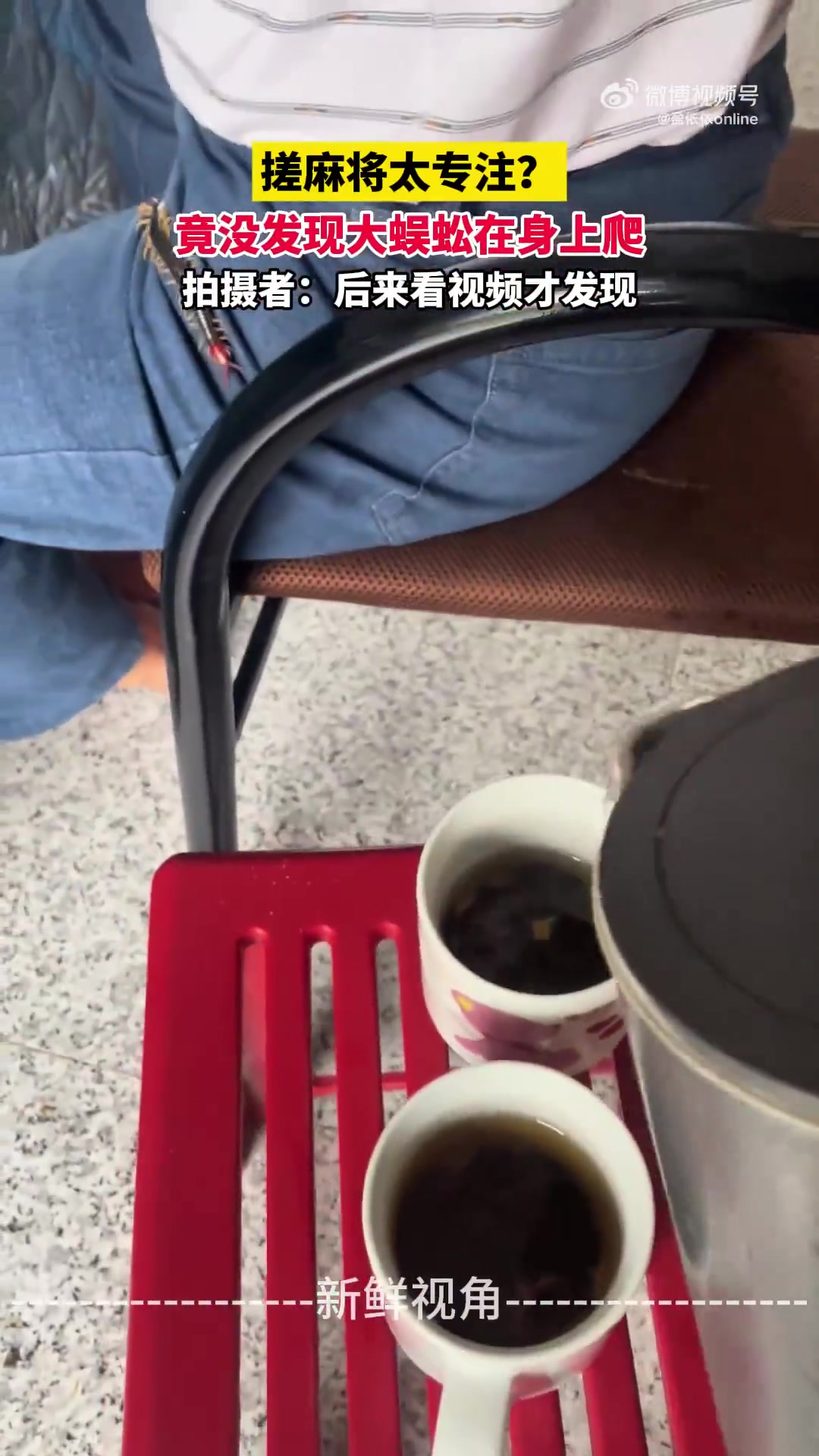 搓麻将太专注竟没发现大蜈蚣在身上爬后来看视频才发现
