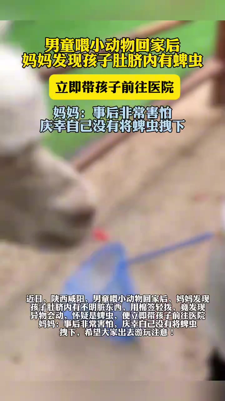 男童喂小动物后肚脐惊现蜱虫
