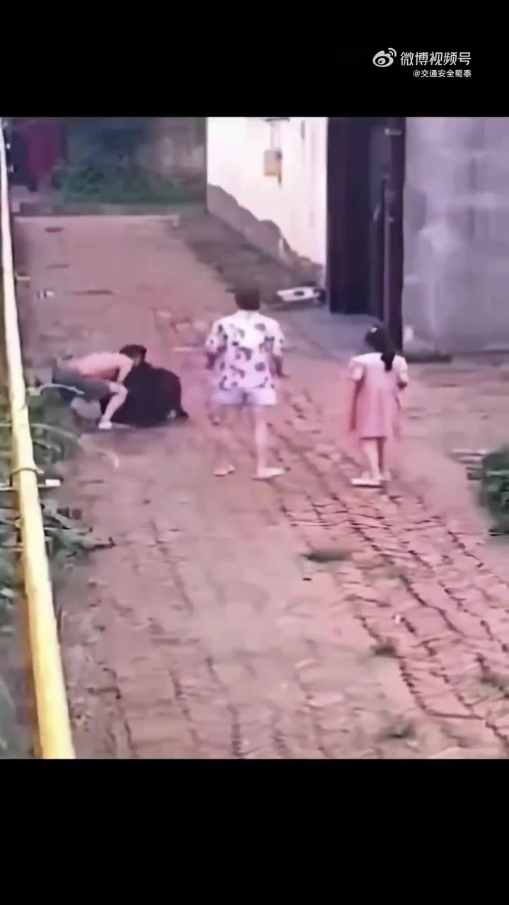 父亲为了保护妻儿，勇斗恶犬，保护家人周全！真男人！