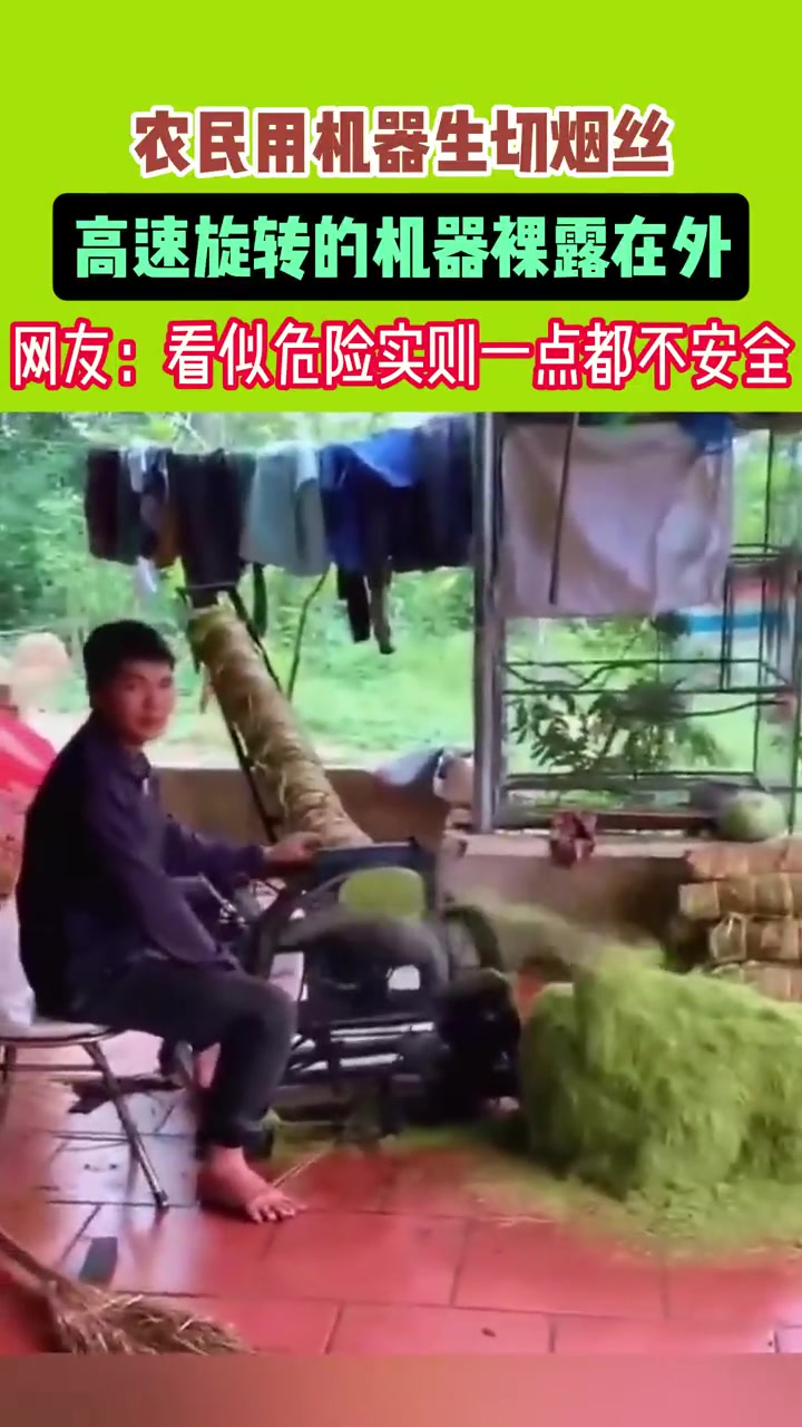 农民用机器生切烟丝,高速旋转的机器裸露在外