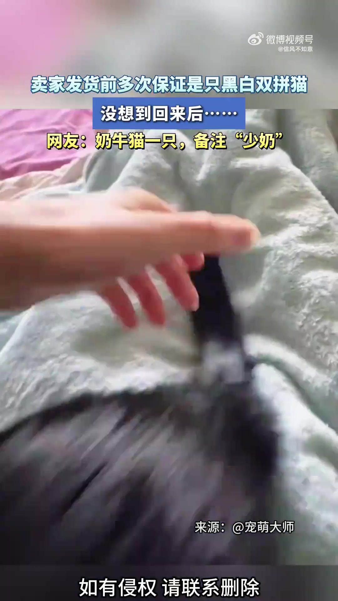 卖家发货前坚称是黑白双拼猫，收到后竟是这种拼法！