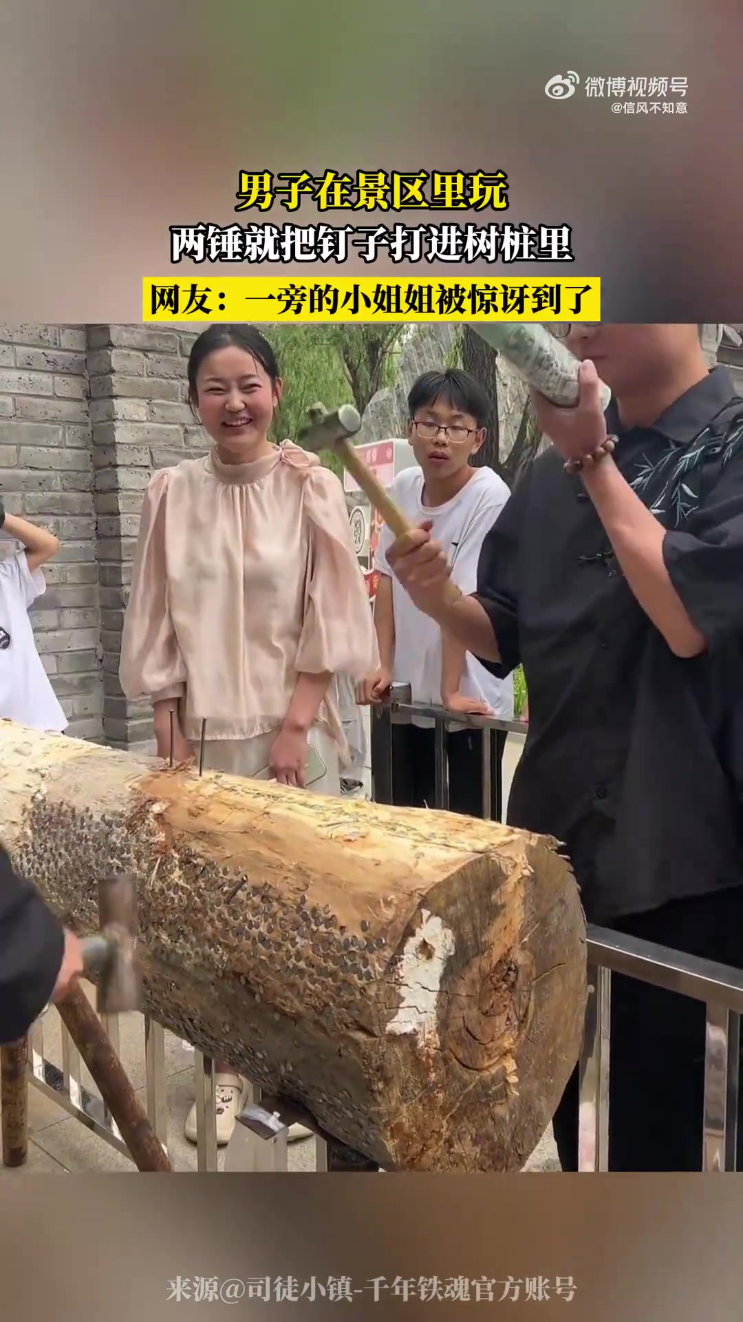 男子景区内两锤将钉子打入树桩