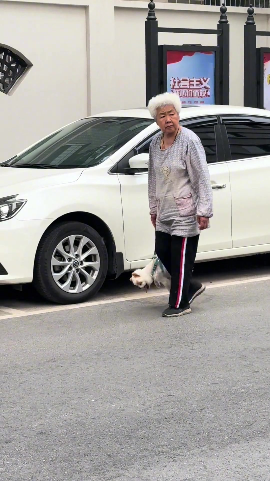 狗子：奶奶你放我下来吧，我会走路！
