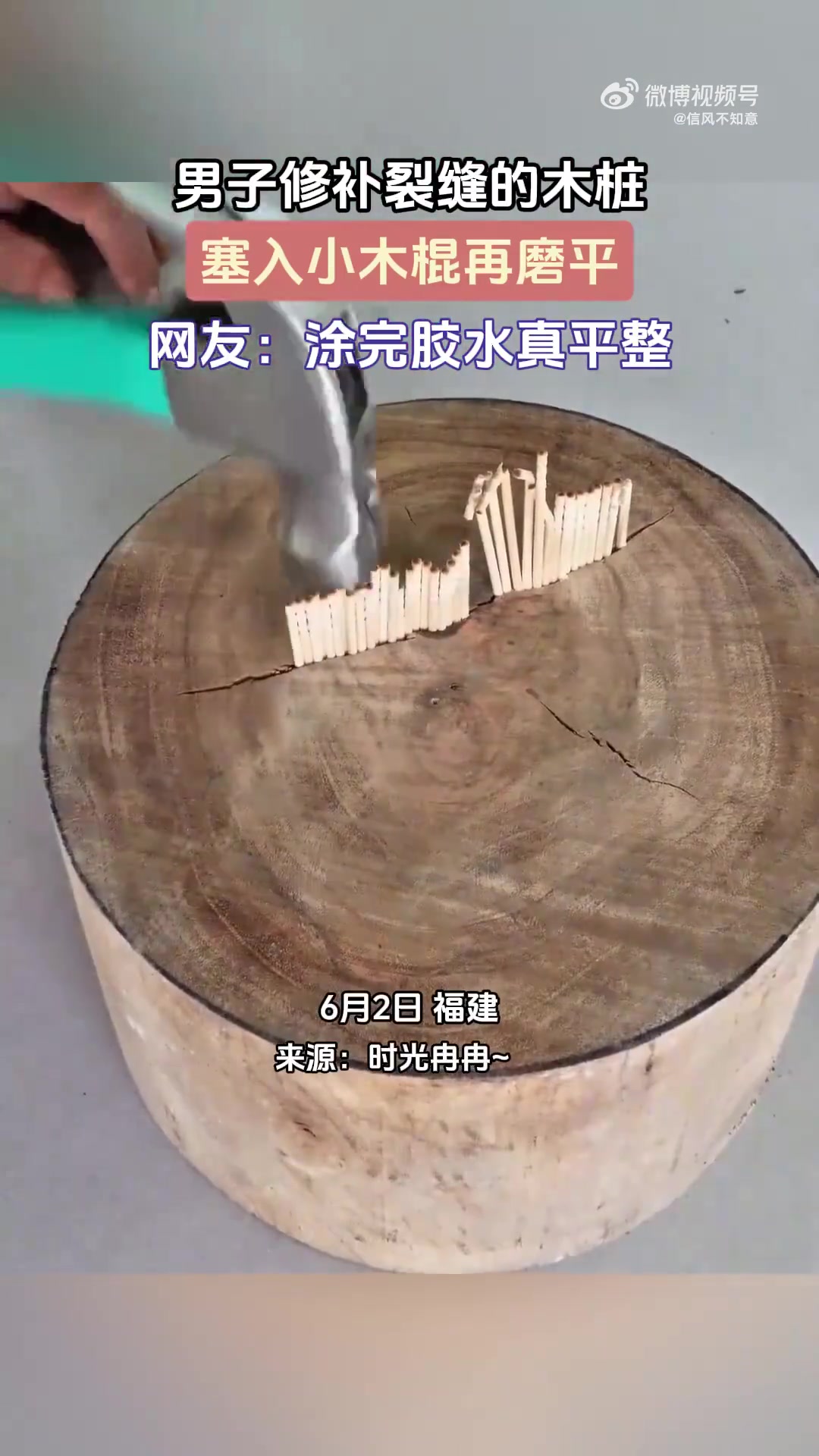 男子修补带裂缝木桩：塞入小木棍后磨平