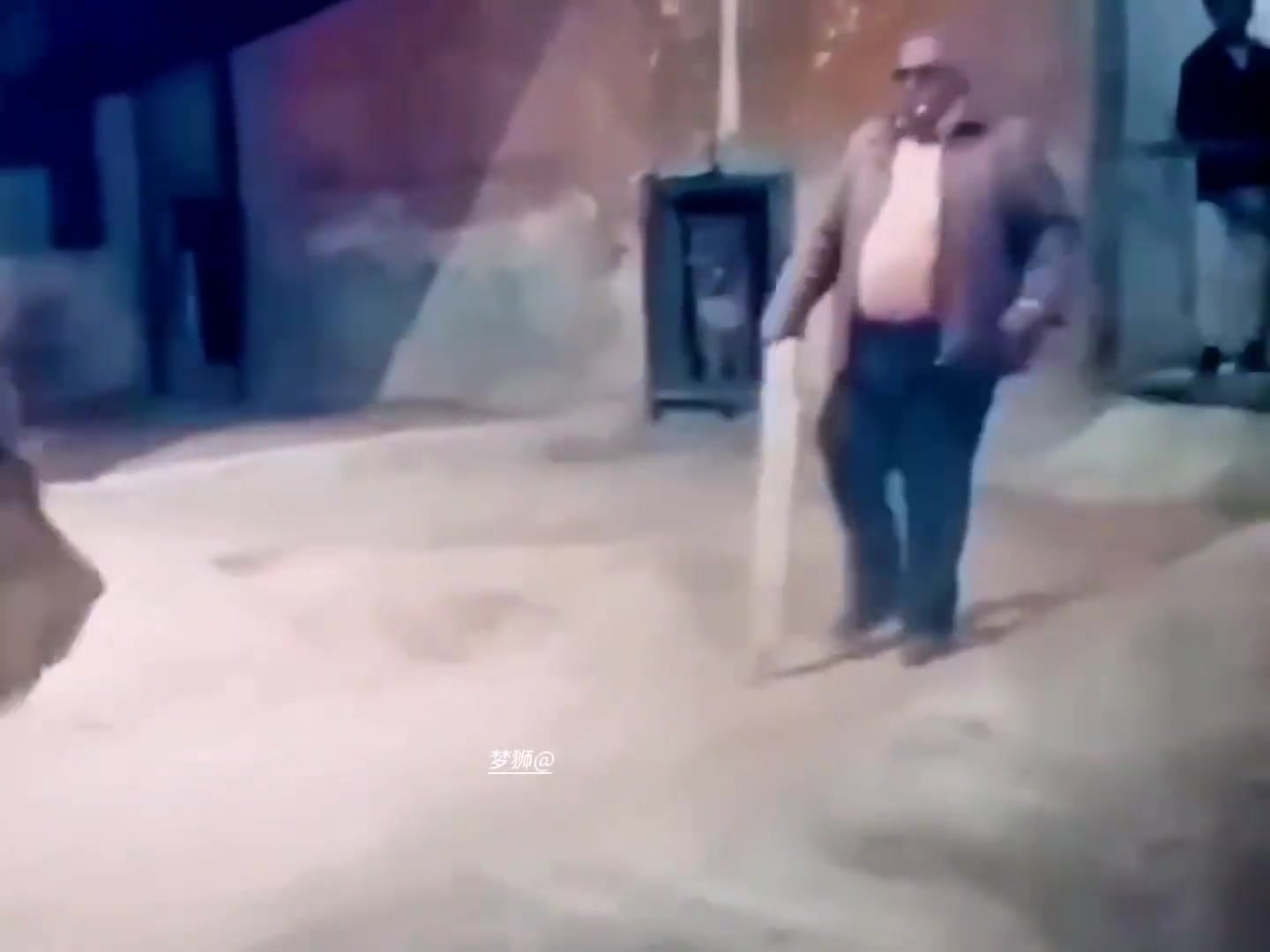 狮子估计也是头一次见到这场面，不知所措了