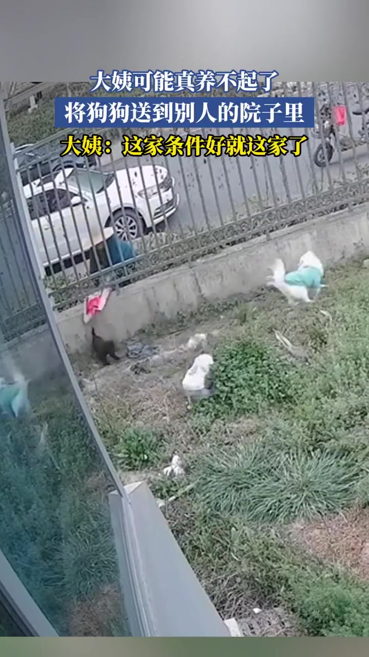 大姨可能真养不起了，将狗狗送到别人的院子里