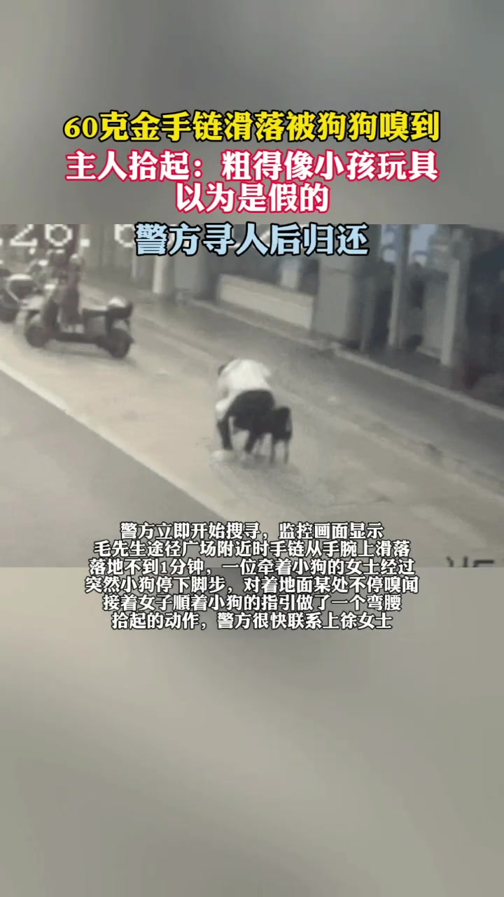 60克金手链滑落被狗狗嗅到主人拾起
