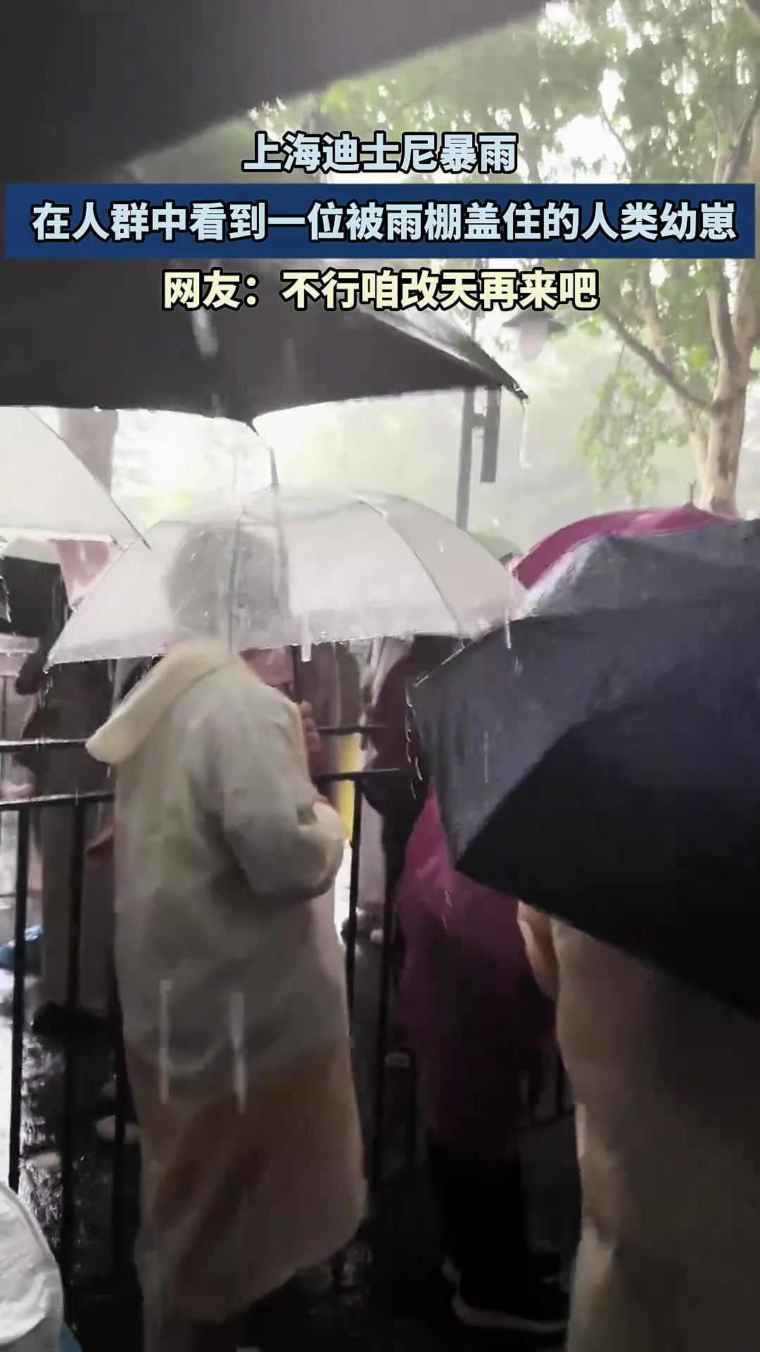 上海迪士尼暴雨，在人群中看到一位被雨蓬盖住的人类幼崽