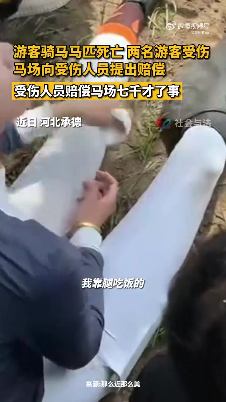游客骑马致马死亡反赔七千，马场纠纷引争议