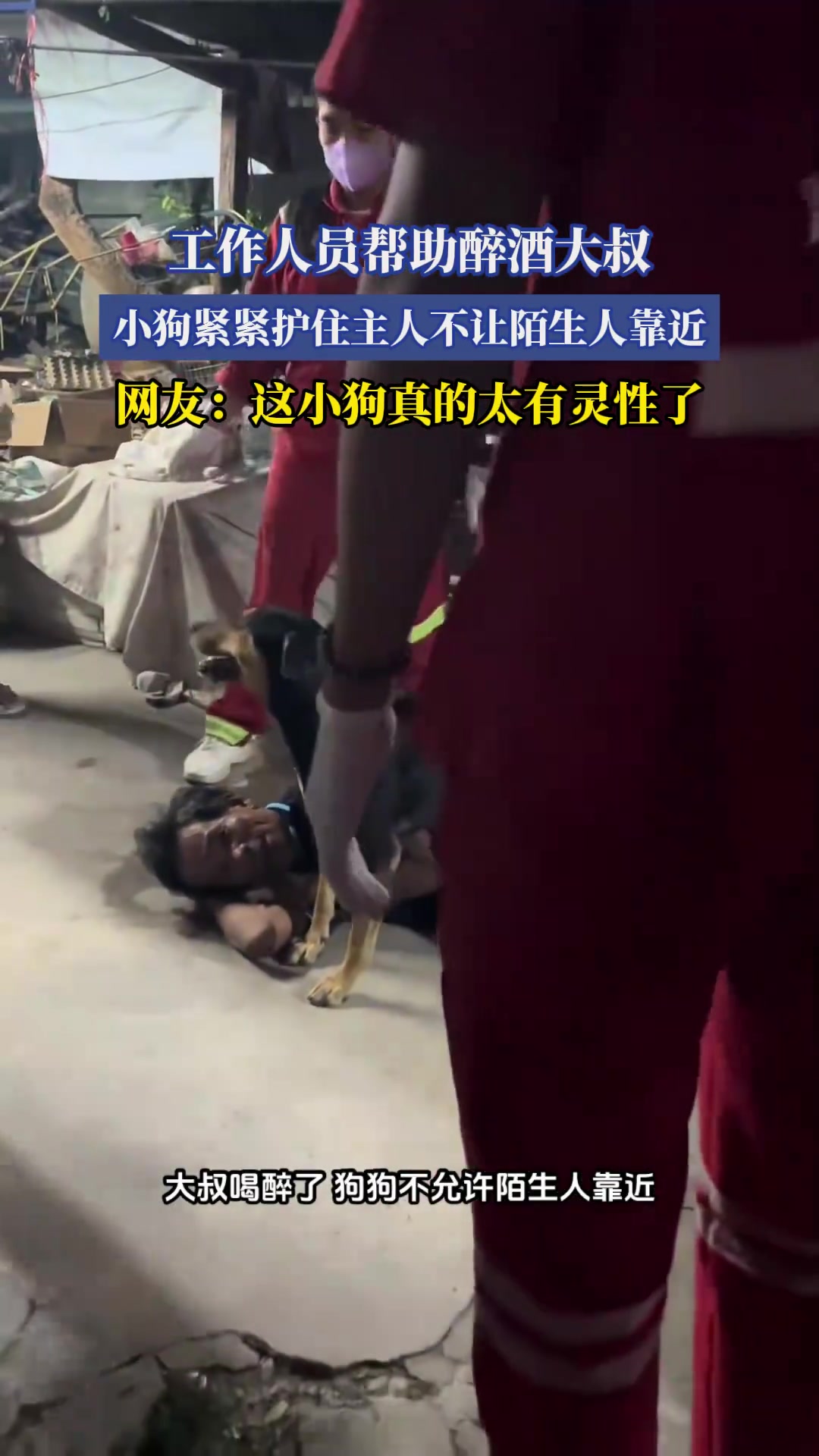 工作人员帮助醉酒大叔，小狗紧紧护住主人不让陌生人靠近