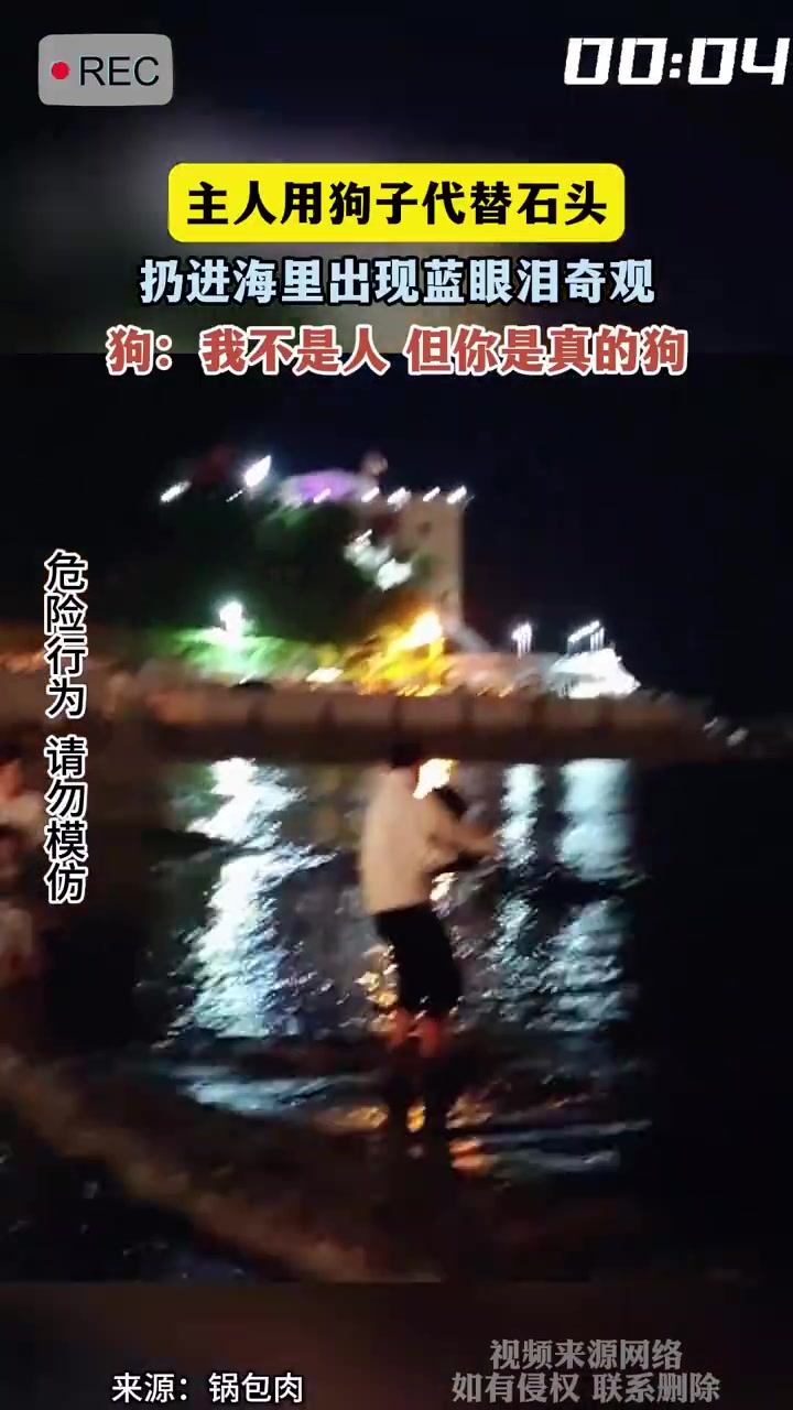 主人用狗子代替石头扔进海里出现蓝眼泪奇观