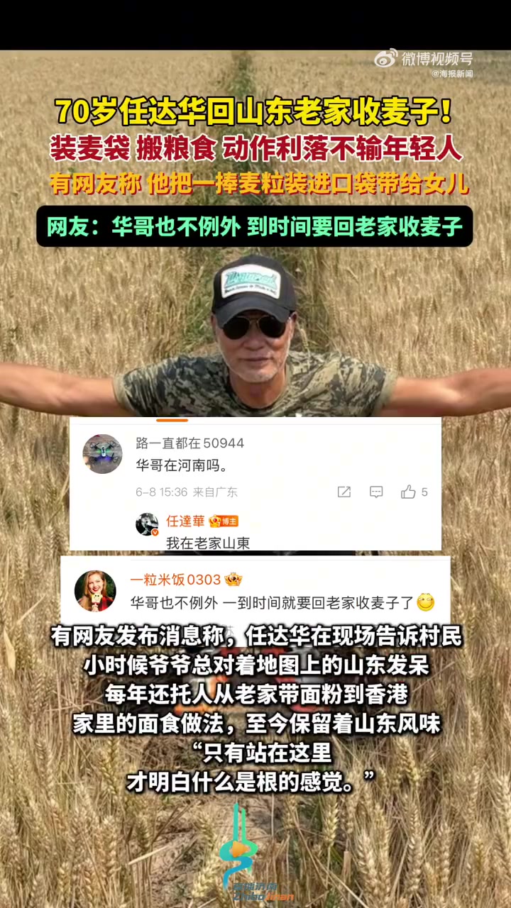 70岁任达华回山东老家收麦子