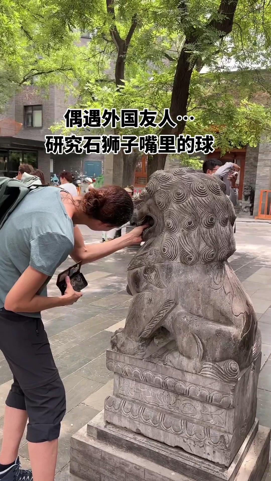 歪果仁这玩意是怎么放进去的