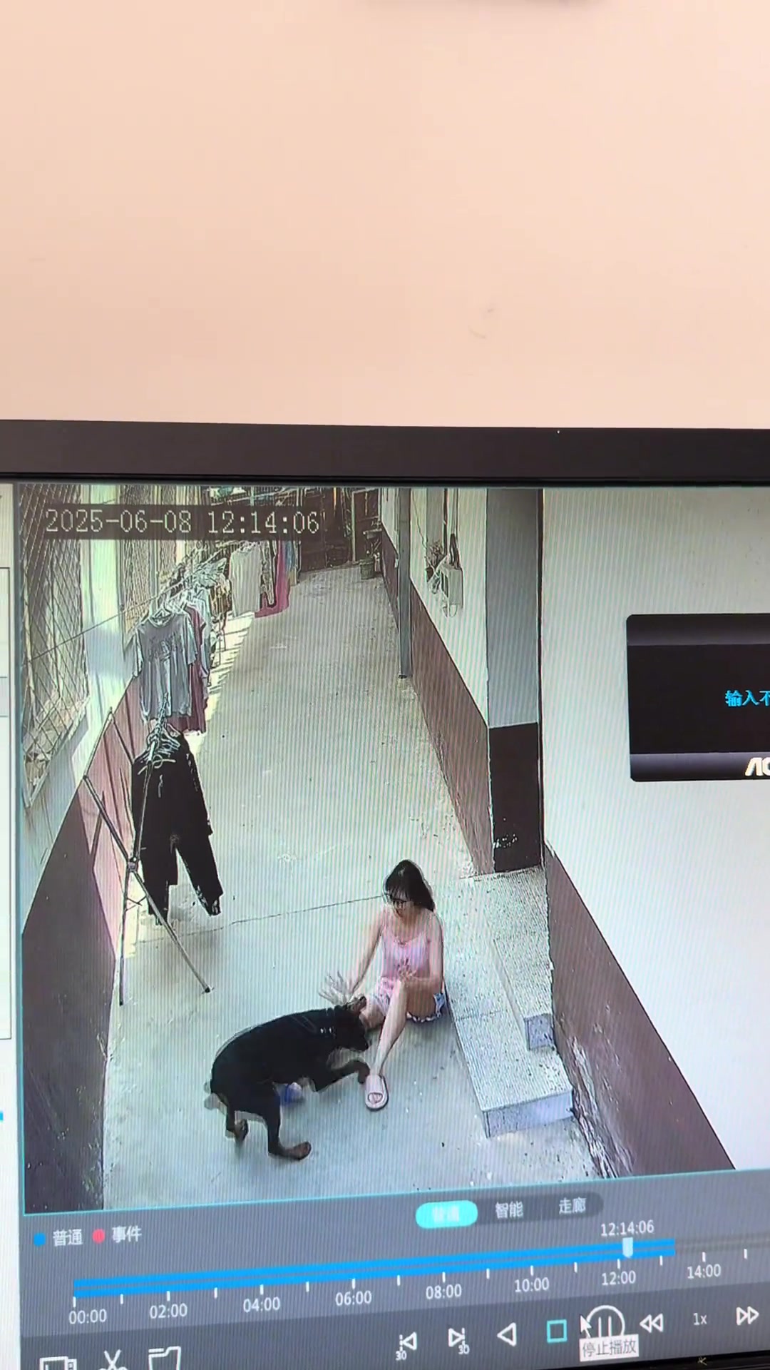 女生真的不适合养大型犬！
