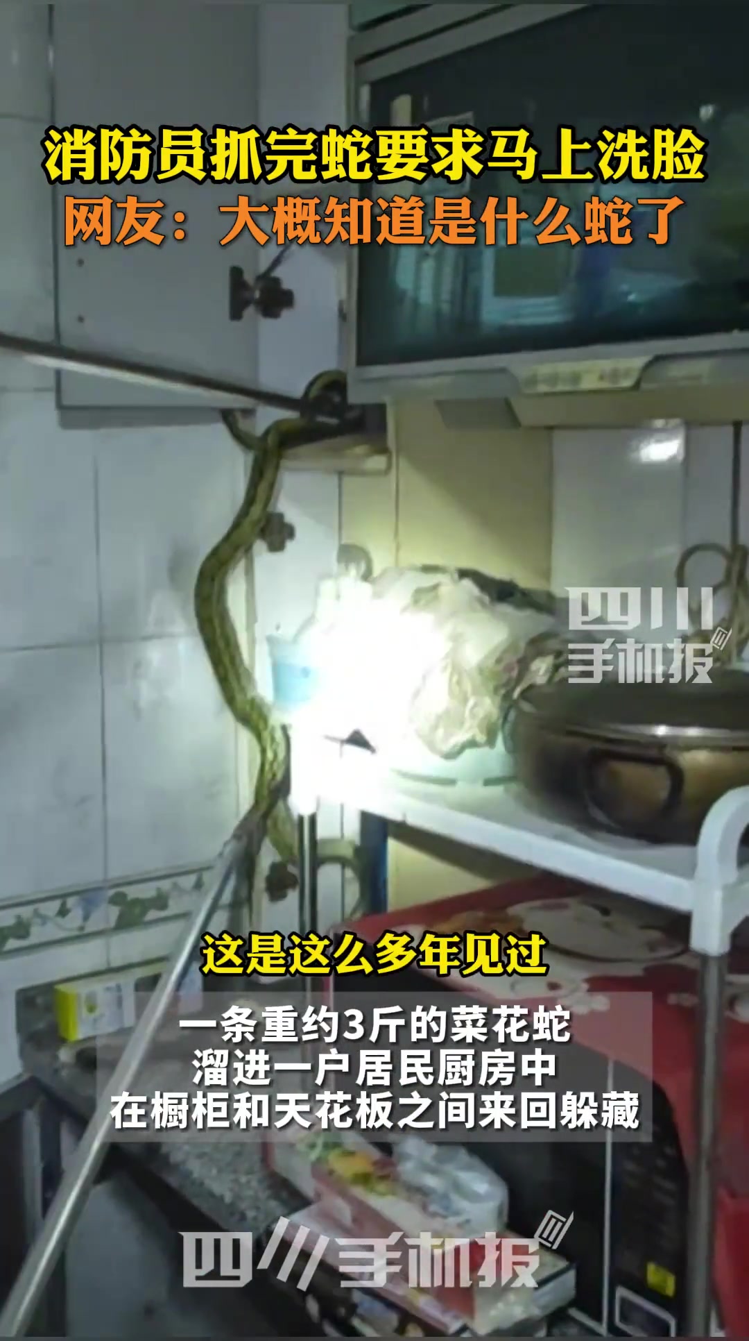 消防员抓完蛇为啥要马上洗脸