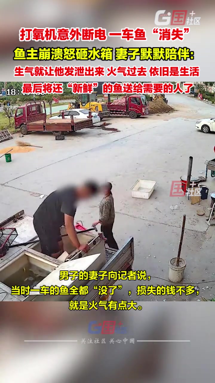 打氧机意外断电，一车鱼全部死，鱼主崩溃怒砸水箱，妻子默默陪伴