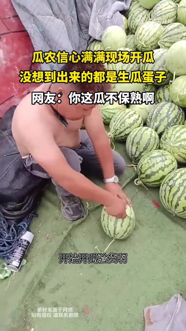 瓜农信心满满现场开瓜没想到出来的都是生瓜蛋子