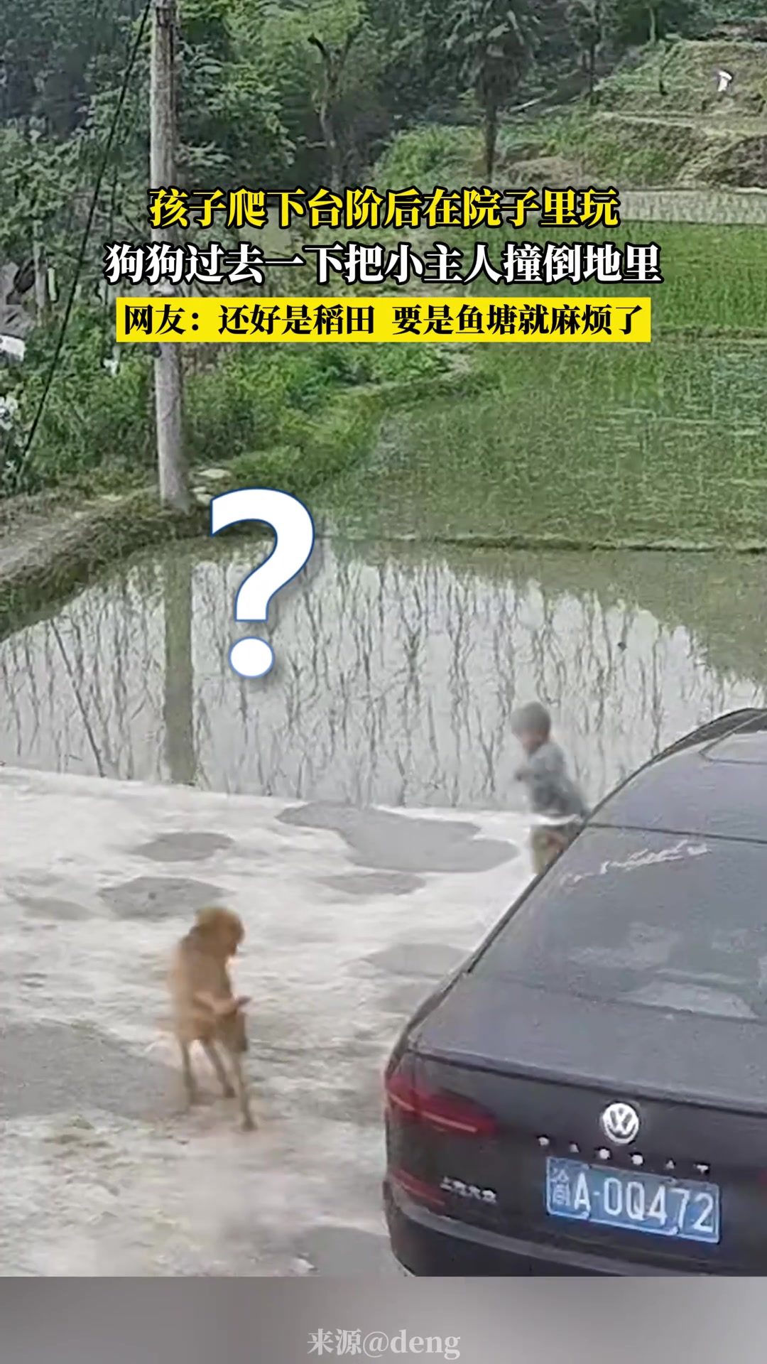 孩子爬下台阶后在院子里玩，狗狗过去一下把小主人撞倒地里