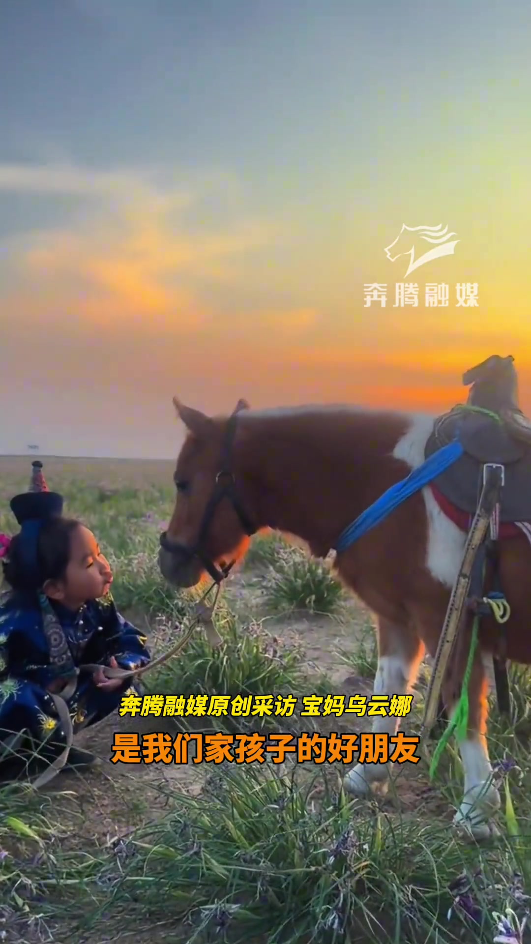 小马参展许久未见小主人，见面后两小只互相亲吻表达想念