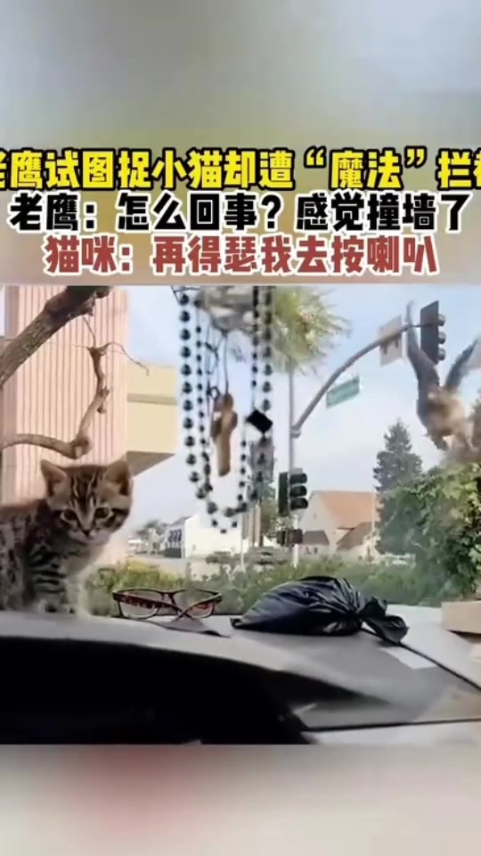 与野生动物零距离接触！