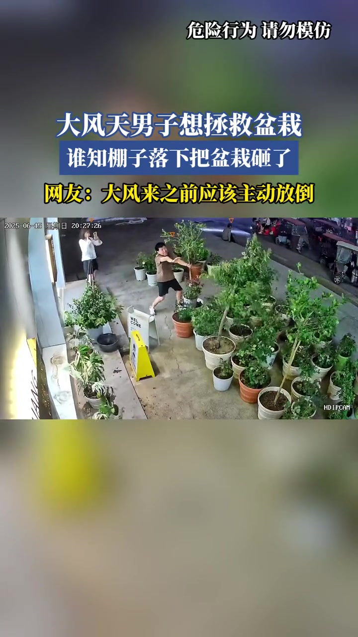 大风天男子想拯救盆栽,谁知棚子落下把盆栽砸了