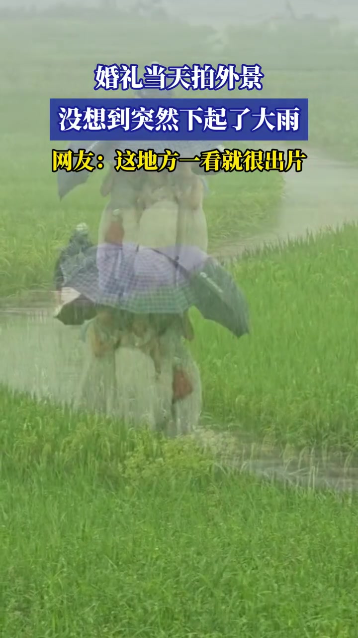 婚礼当天拍外景,没想到突然下起了大雨