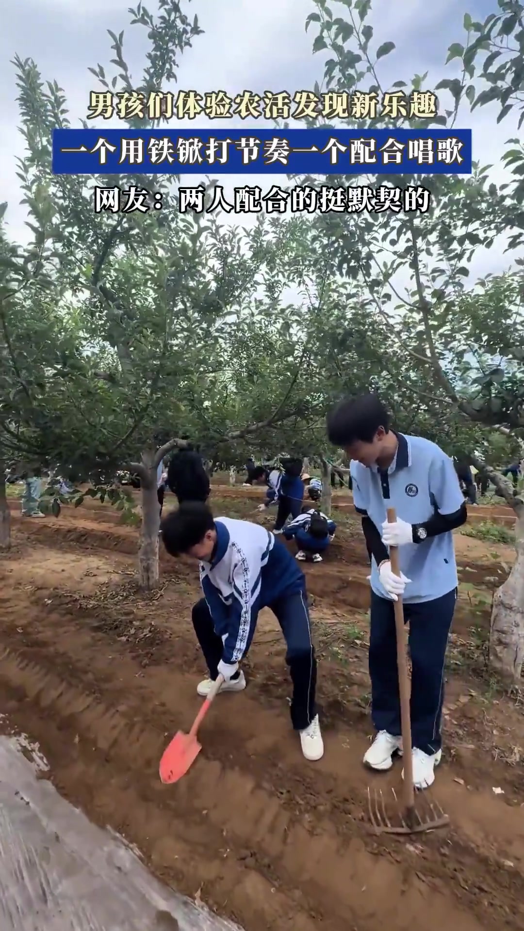 男孩们体验农活发现新乐趣，一个用铁锨打节奏一个配合唱歌！