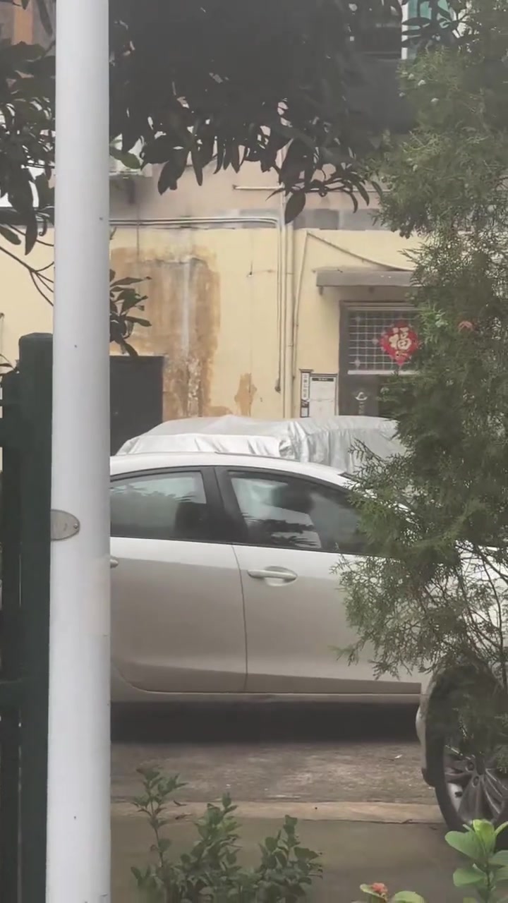 小两口在车里打架呢！