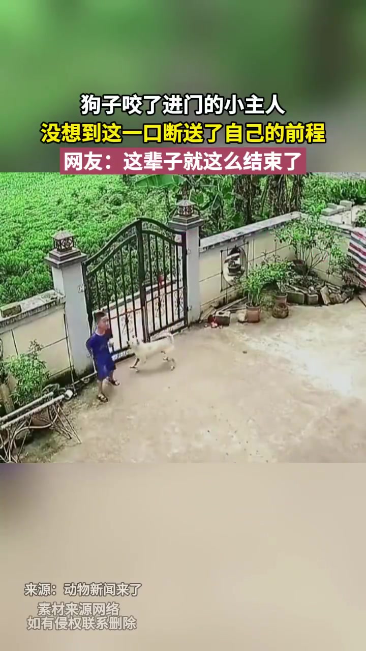 狗子咬小主人，一口下去前程尽毁