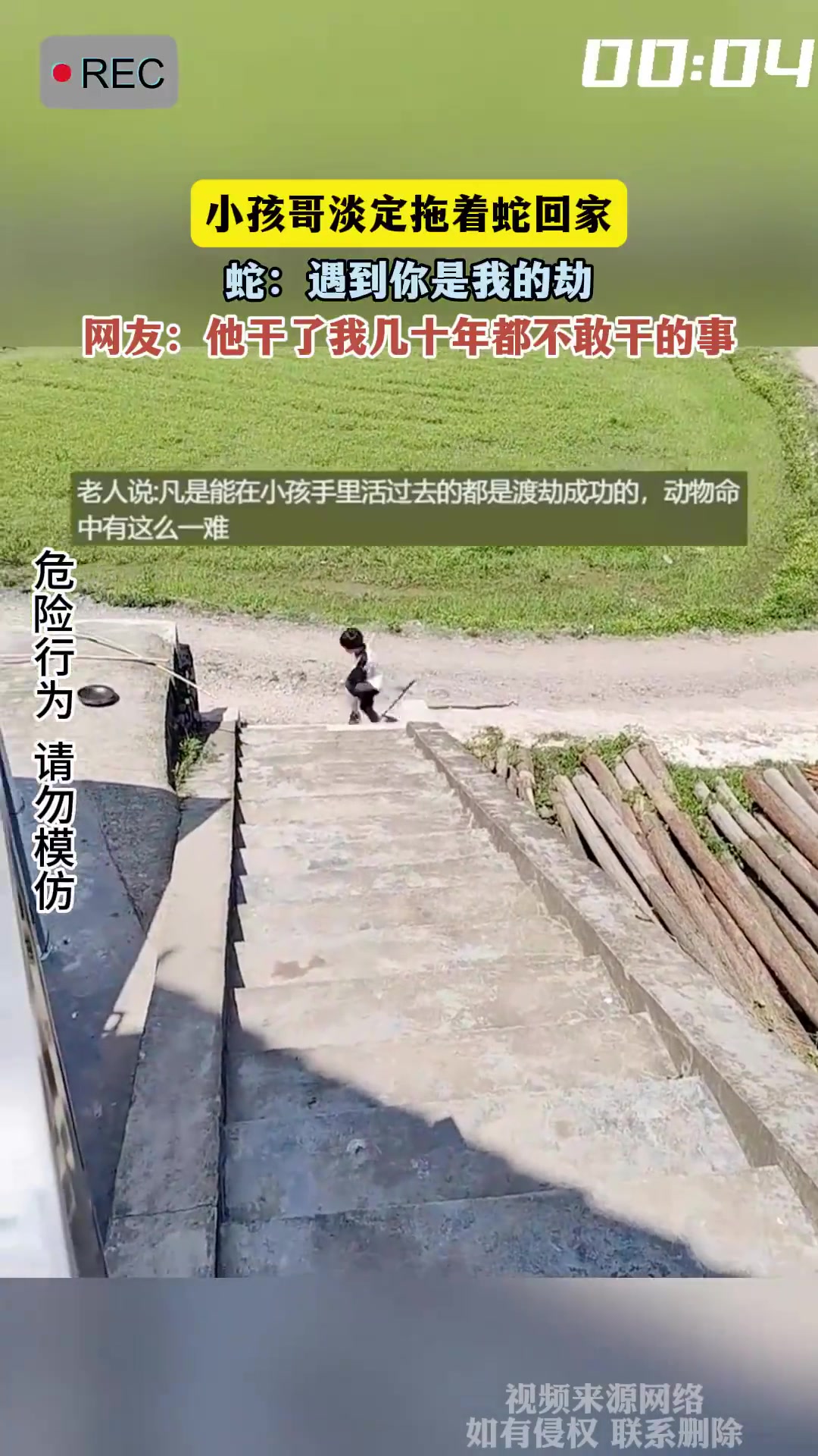 小孩哥淡定拖蛇回家，蛇：遇上你算我倒霉！