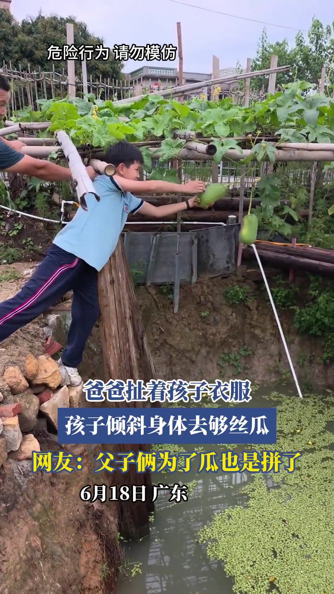 爸爸扯住孩子衣服，孩子倾身努力够丝瓜