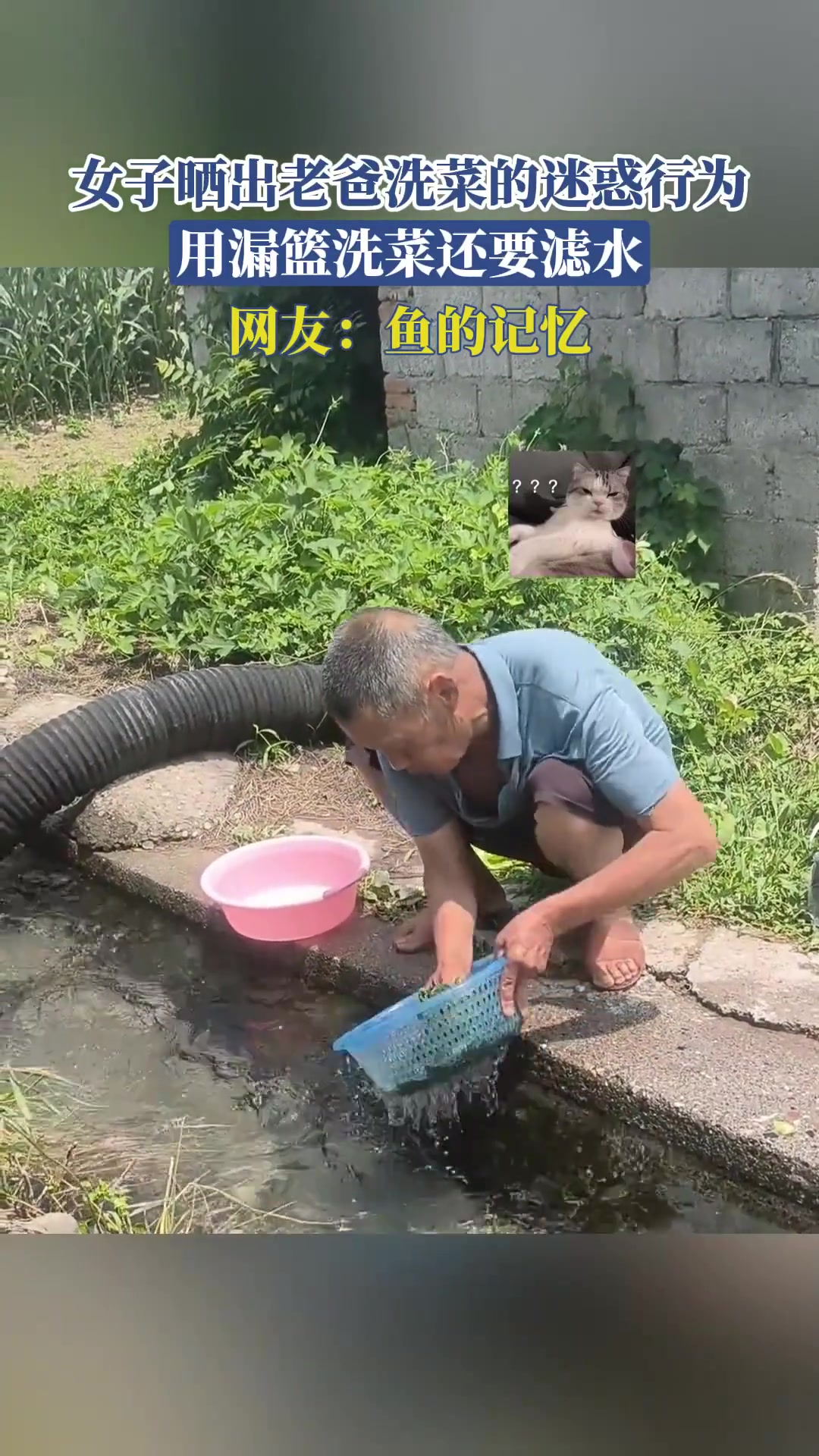 女子晒出老爸洗菜的迷惑行为，用漏篮洗菜还滤水