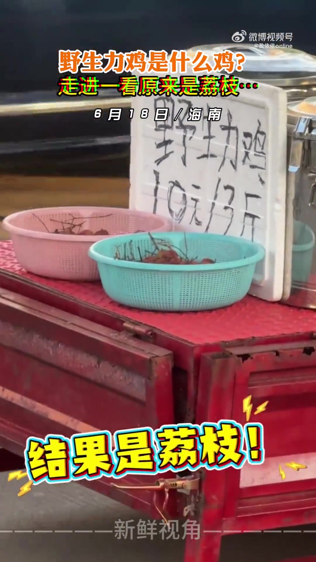 野生力鸡是什么鸡走进一看原来是荔枝