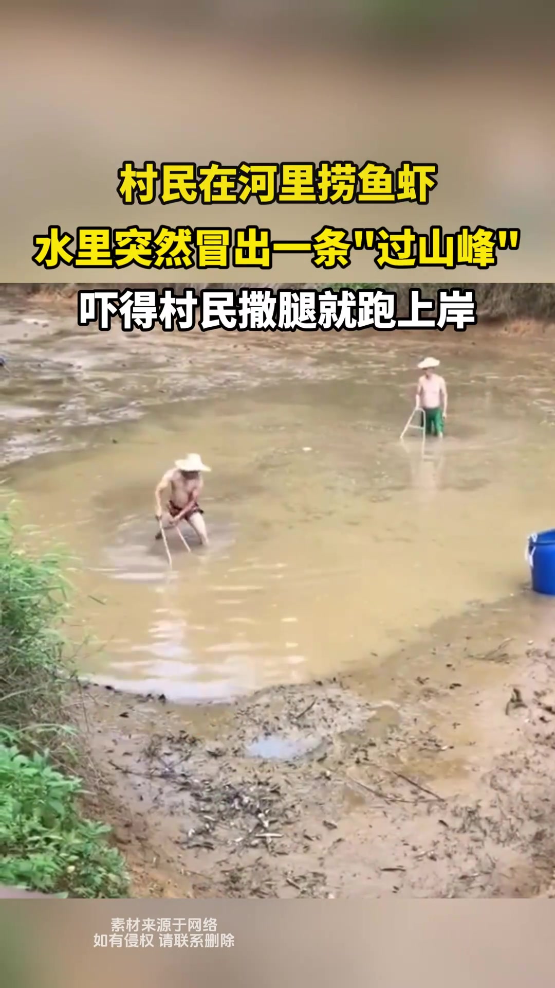 村民在河里捞鱼虾，水里突然冒出一条过山峰