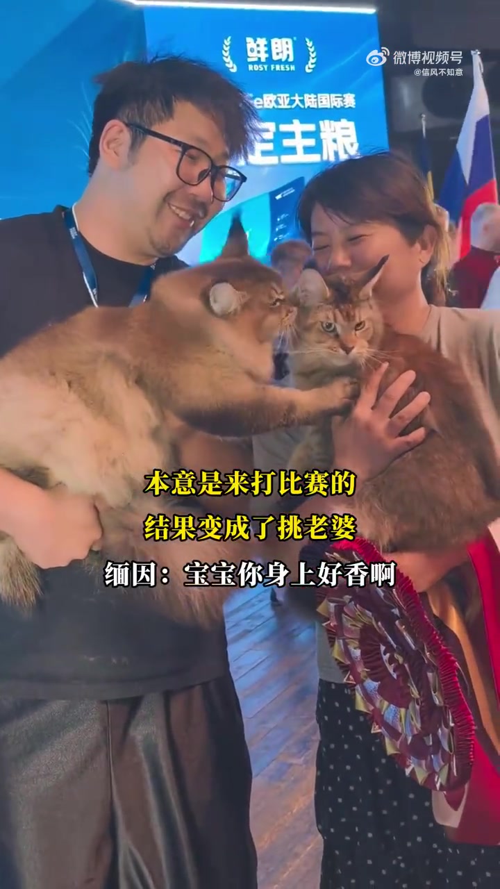 本意是来打比赛的，结果变成了挑老婆
