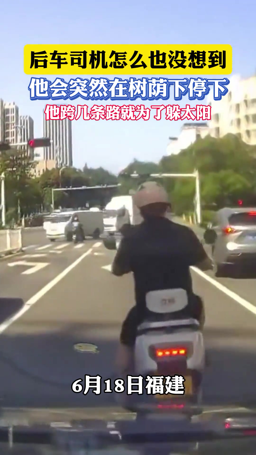 后车司机怎么也没想到，他会突然在树荫下停下