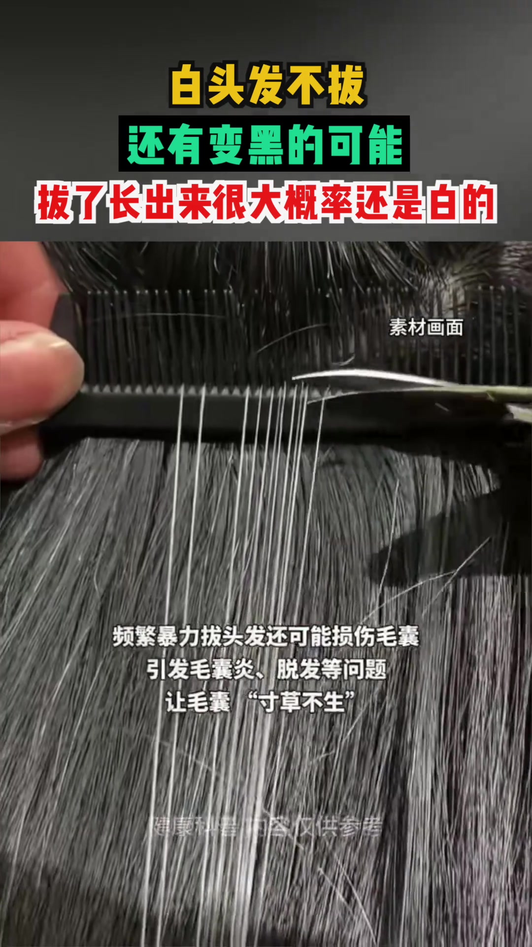 白头发不拔还有变黑的可能，拔了长出来很大概率还是白的