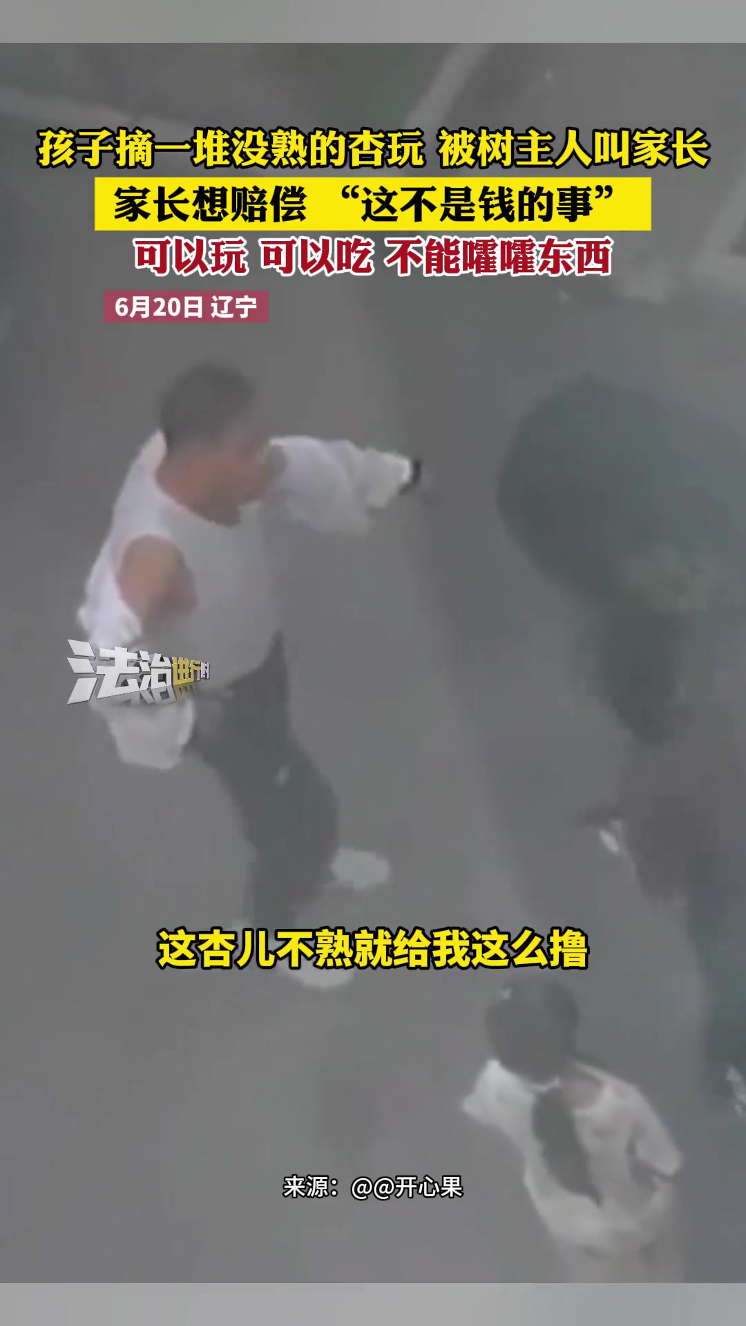 孩子摘一堆没熟的杏玩被树主人叫家长：不能嚯嚯东西