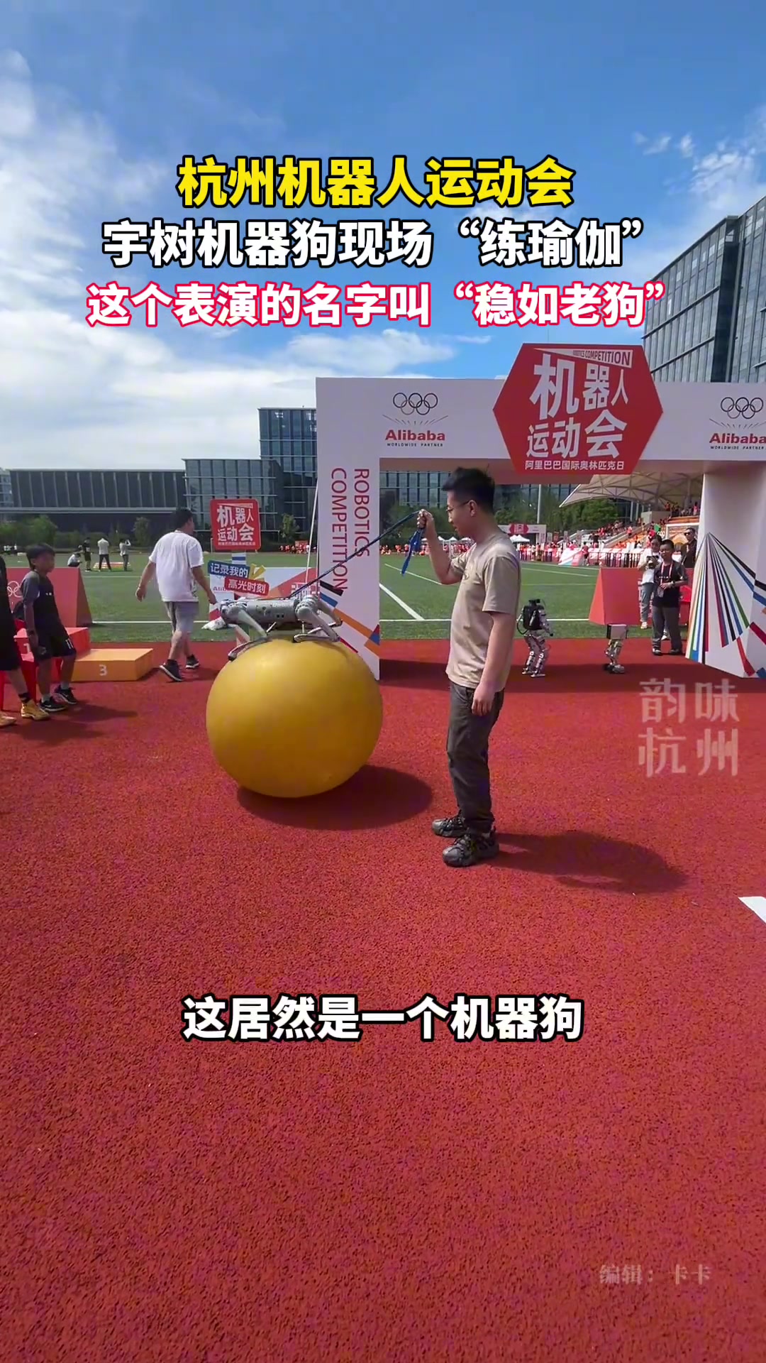 机器狗现场“练瑜伽”，平衡力惊人，演示什么叫“稳如老狗”