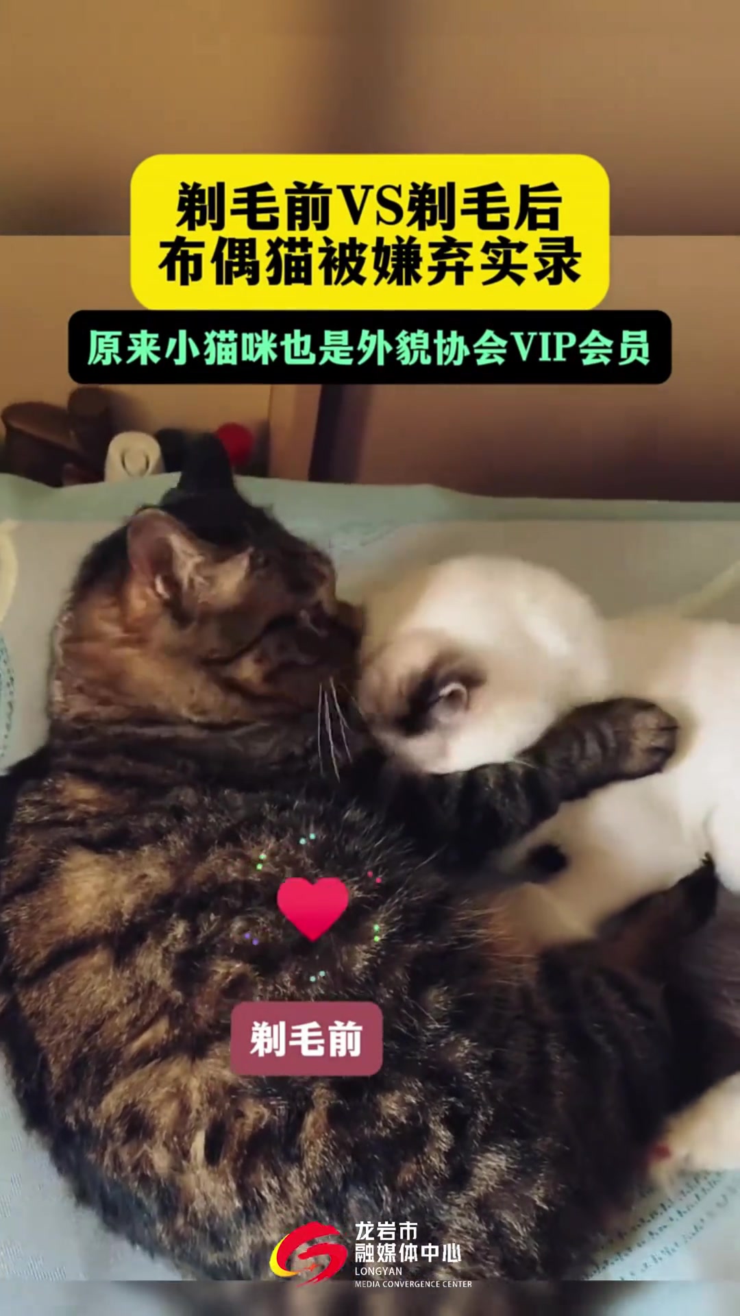 剃毛前VS剃毛后！