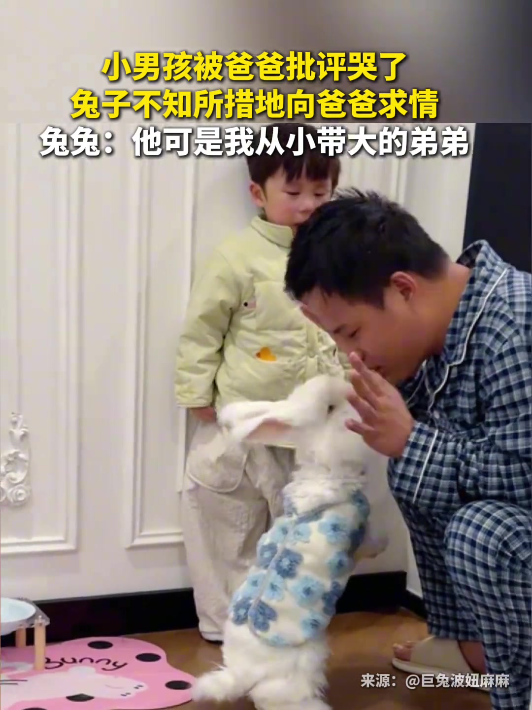小男孩被爸爸批评哭了，兔子不知所措地向爸爸求情