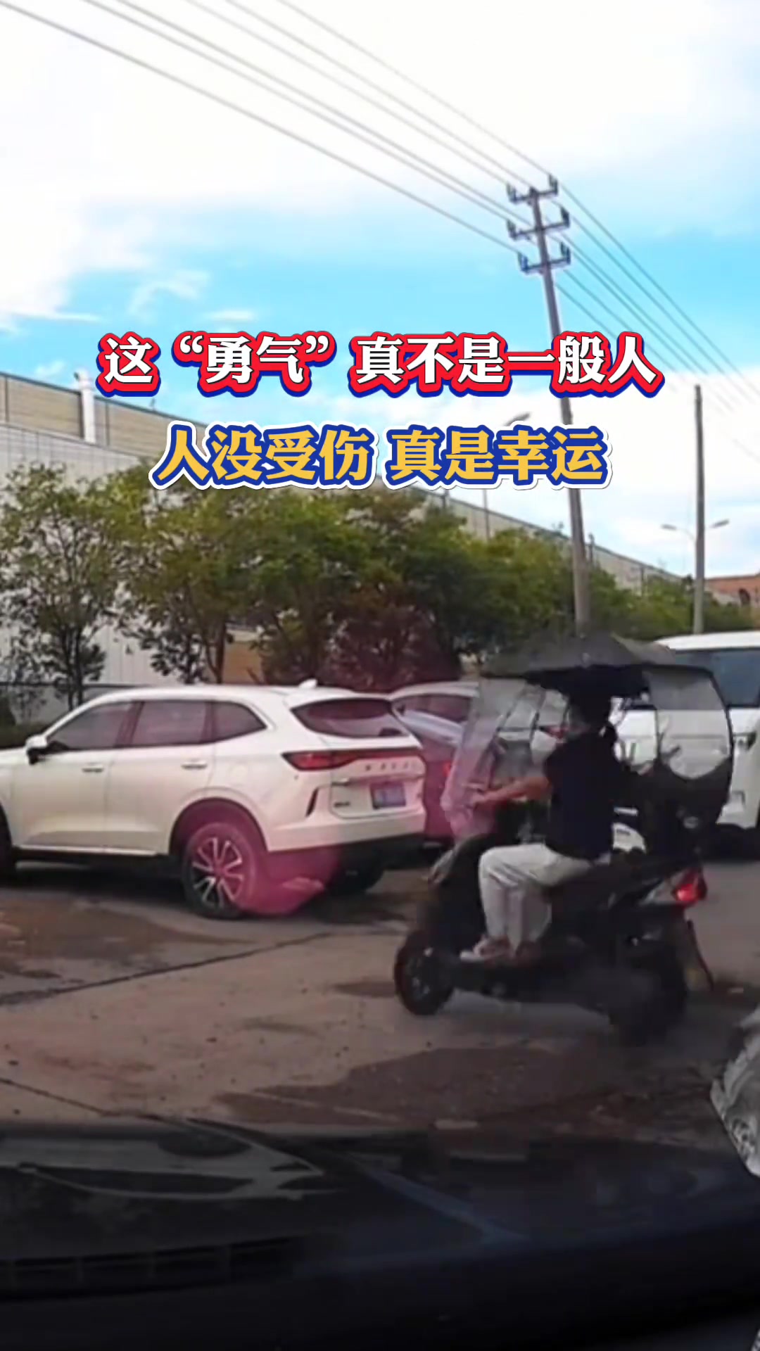 到底在想什么这都能撞上去！