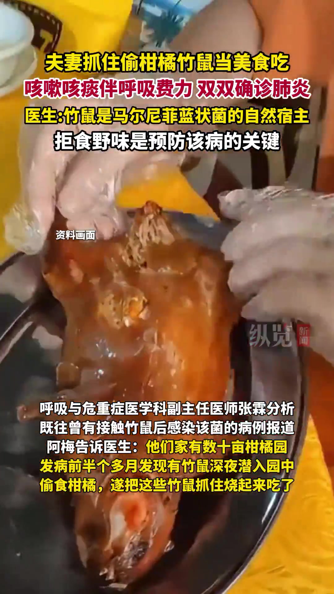 温州夫妻吃竹鼠染怪病！医生：拒食野味