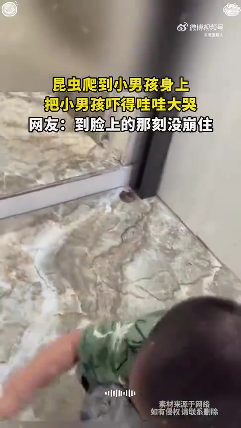昆虫爬上小男孩身体，小家伙吓得哇哇大哭