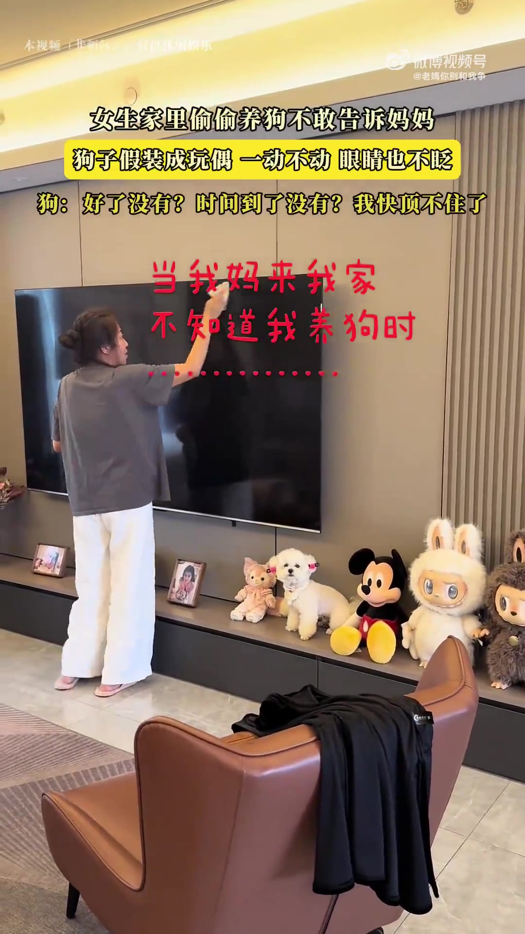 女生偷养狗瞒妈，狗子装玩偶一动不动