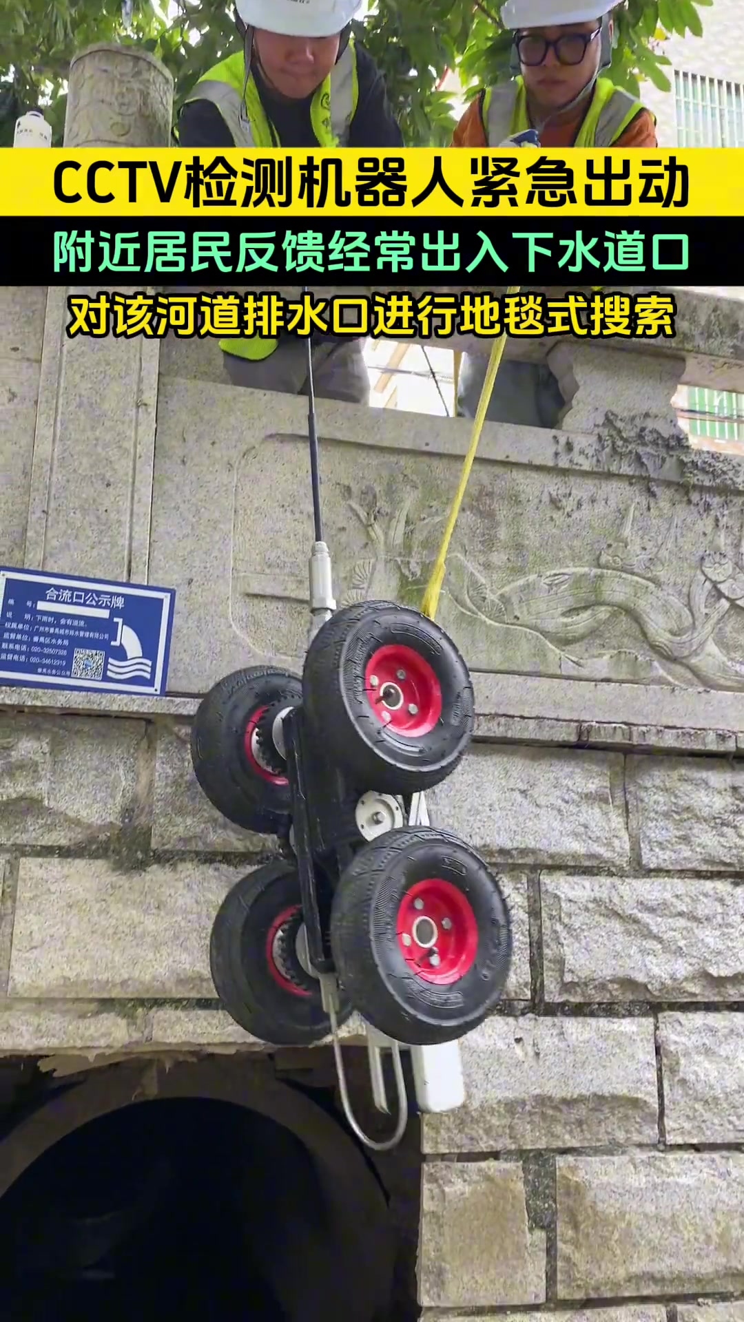 汛期过后，河道出现大型生物活动