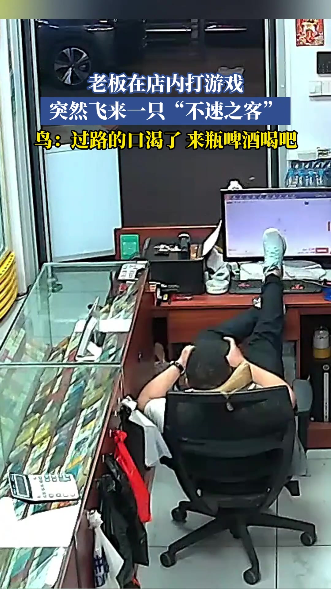 老板在店内打游戏，突然飞来一只“不速之客”